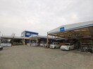 DCM DAIKI(DCMダイキ) 大美野店(電気量販店/ホームセンター)まで1237m デュラ・カーサ・ラフィネⅠ