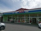 シルク 泉ヶ丘店(ドラッグストア)まで1853m ベルメゾン