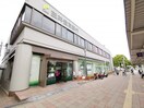 三井住友銀行金剛支店(銀行)まで249m ソフィアコート