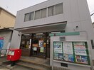 堺深井郵便局(郵便局)まで527m カーサ　サンシビリテ　ドゥーエ