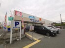 ウエルシア堺菩提店(ドラッグストア)まで659m カーサ・アルバⅡ（ホームズ用）