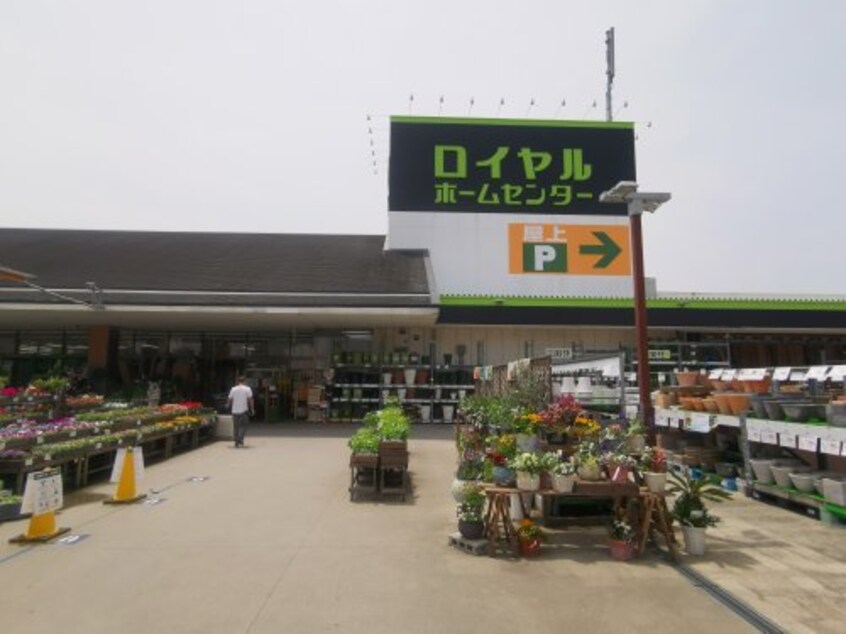 ロイヤルホームセンター堺店(電気量販店/ホームセンター)まで747m 阪和線・羽衣線/上野芝駅 徒歩20分 1-2階 築52年