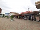 (株)水嶋書房金剛店(本屋)まで542m グラン・グレース金剛