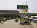 ロイヤルホームセンター堺店(電気量販店/ホームセンター)まで606m Etoneハイツ