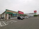 キリン堂 大美野店(ドラッグストア)まで254m 森ハイツ