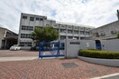 堺市立深阪小学校(小学校)まで261m サン・オーク