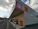 ウエルシア和泉納花店(ドラッグストア)まで1097m 小林マンション