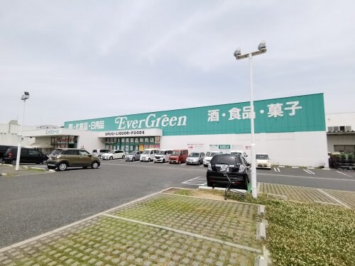 エバグリーン 狭山店(ドラッグストア)まで2484m 千代田グリーンハイツ