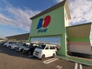 ディオ 和泉店(スーパー)まで514m ウエストランド