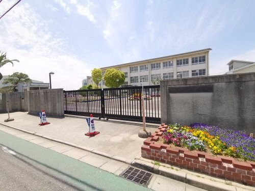 堺市立白鷺小学校(小学校)まで653m 南海高野線/初芝駅 徒歩11分 1-2階 築52年