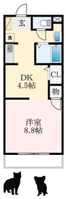 グランフルーリ 1DKの間取り