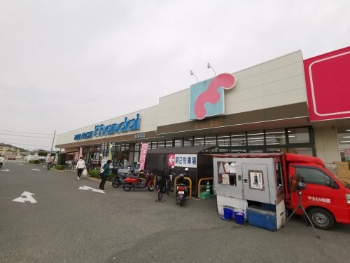 万代 北野田店(スーパー)まで695m ライルエフ北野田