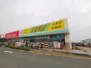 サーバ 堺北野田店(ドラッグストア)まで1151m ラフォーレ北野田