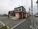 天丼・天ぷら本舗 さん天 金剛(その他飲食（ファミレスなど）)まで243m ニューハイツ松川