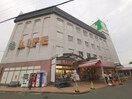 ライフ 初芝店(スーパー)まで433m 南海高野線/初芝駅 徒歩6分 1-2階 築55年