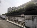 私立初芝立命館中学校・高等学校(中学校/中等教育学校)まで470m レジーナ北野田