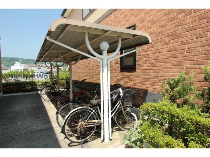  パインブライトB