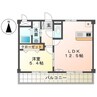 サクシード3 1LDKの間取り