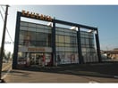 TSUTAYA唐津店(ビデオ/DVD)まで1262m アルカンシエル