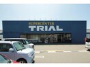 スーパーセンタートライアル唐津中原店(ディスカウントショップ)まで400m Plasir（プレジール）