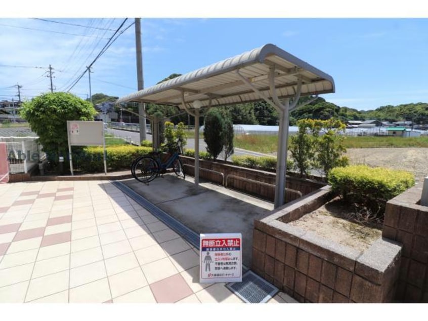  ブッドレア ジョイン Ⅱ