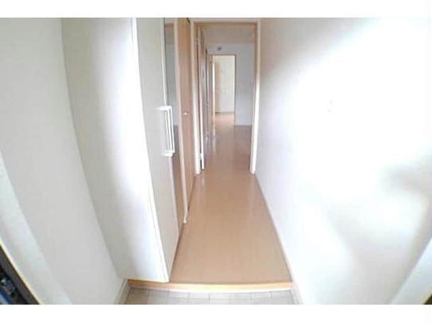  ブッドレア ジョイン Ⅱ