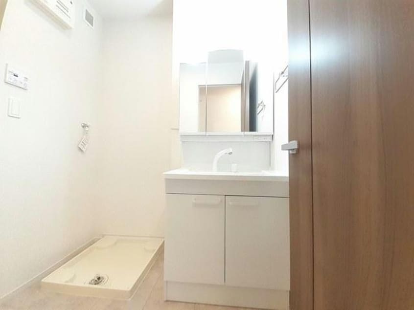  ラナンキュラス　Ⅱ