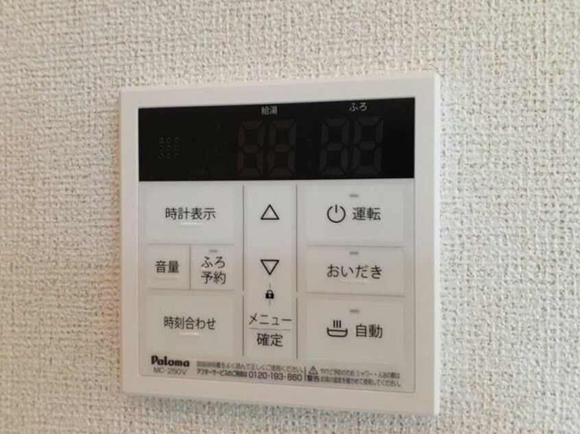  ラナンキュラス　Ⅱ