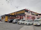 MEGAドン・キホーテ紀の川店様(ディスカウントショップ)まで1171m シャーメゾン紀の川