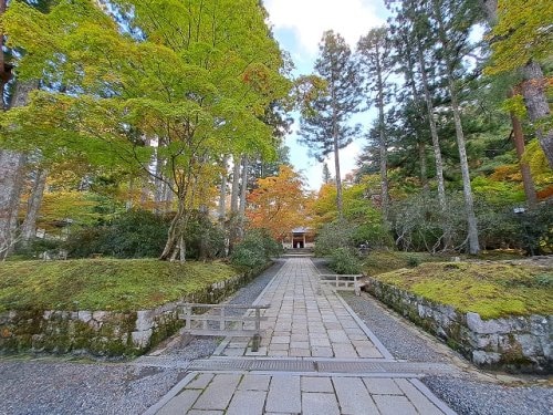 高野山霊宝館様 3562m 桜ハイツ壱番館
