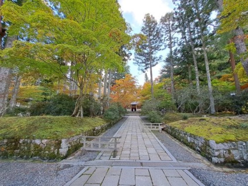 高野山霊宝館様 3562m 桜ハイツ壱番館