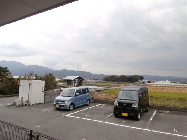  グリーン　フォーリスト