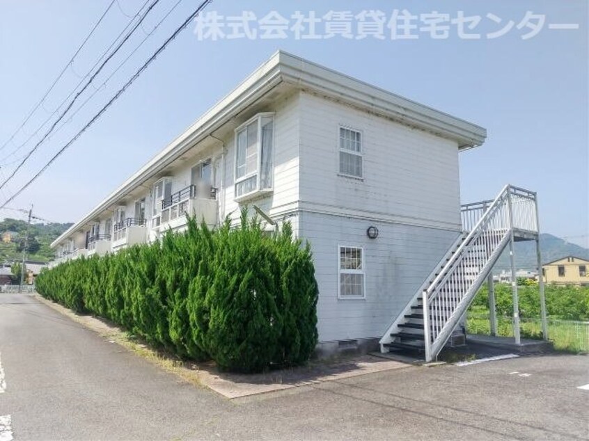  ダイナスティ
