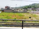  ダイナスティ