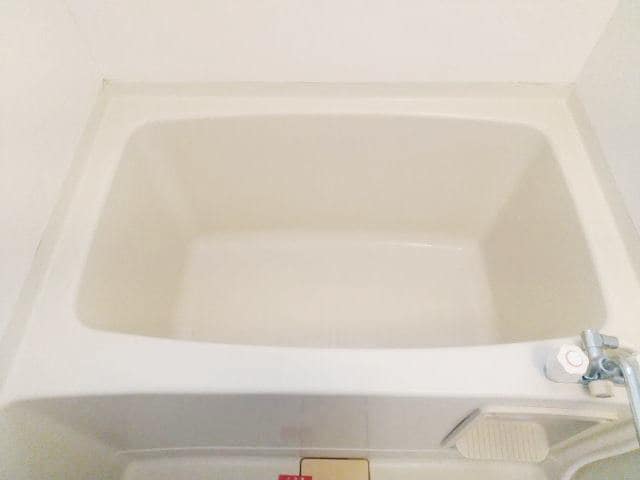  ダイナスティ