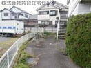  ダイナスティ