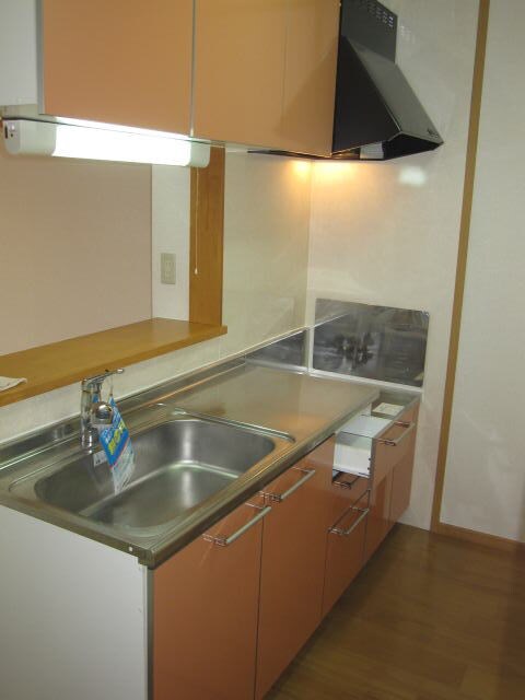  アスターラビスタⅢ