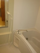  アスターラビスタⅢ