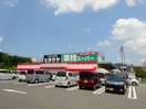ヒダカヤ&業務スーパー貴志川店様(スーパー)まで2313m シャーメゾン岸宮
