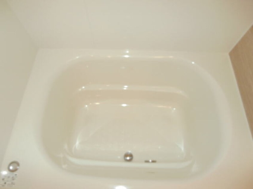 同仕様 EAST VILLAGE 2020