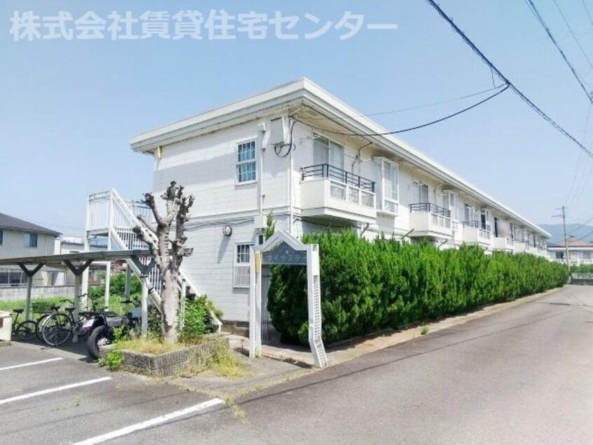  ダイナスティ