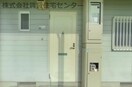  ダイナスティ