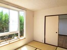  ダイナスティ