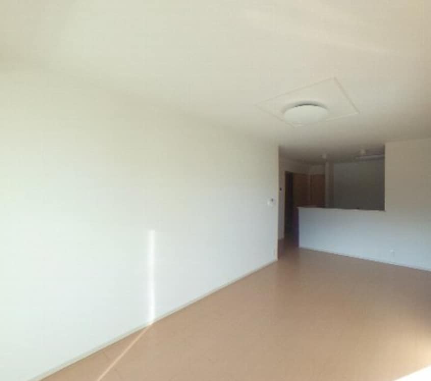  プランテーション