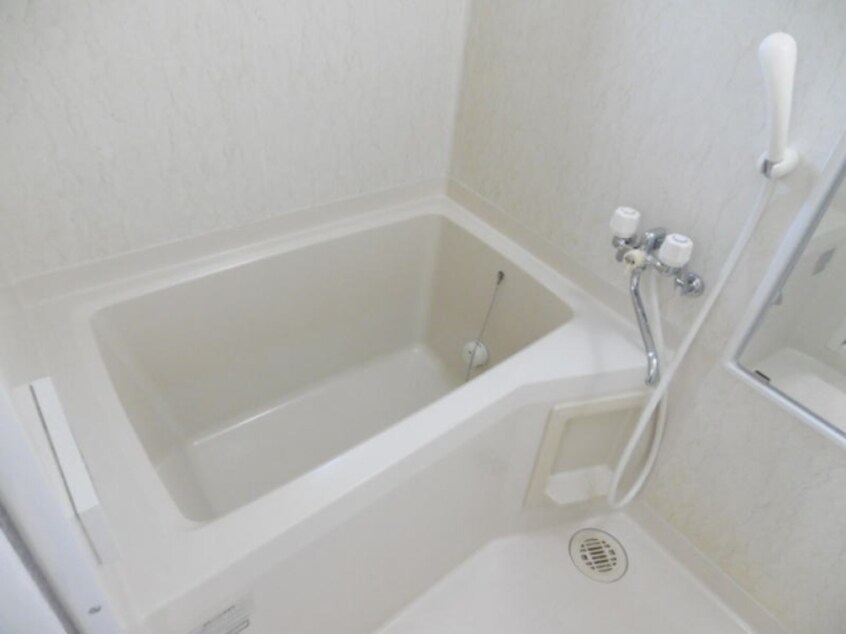  ディアスワーブラー