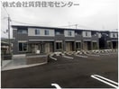  サニーホワイトⅧ