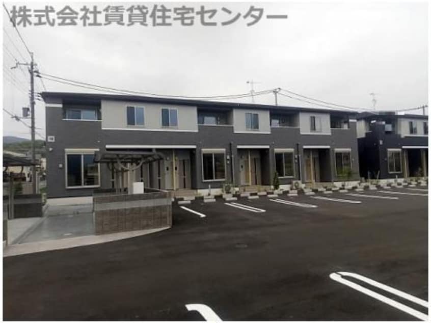  サニーホワイトⅧ
