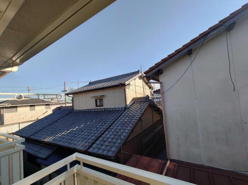  リーフ グリーン