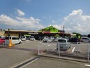 産直市場よってって貴志川店様 2502m フルリール，ｎ