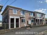 バンビーノⅡ